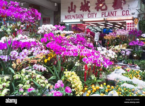 香港送花之術：探討繁盛花市的傳情之竇