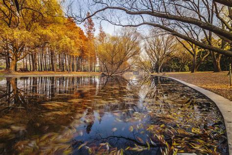 上海都有啥公園的遨游及其細味景色的意涵